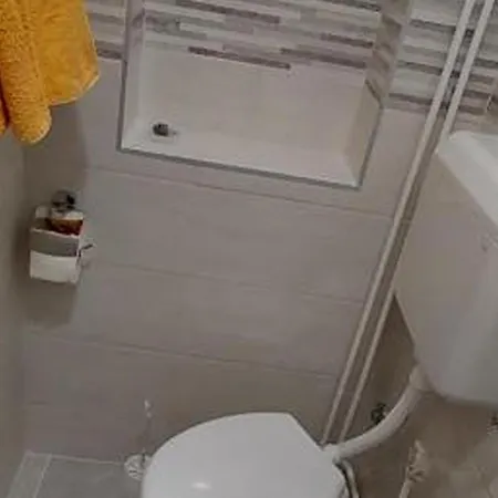 Rab Diving Mirko Affittacamere